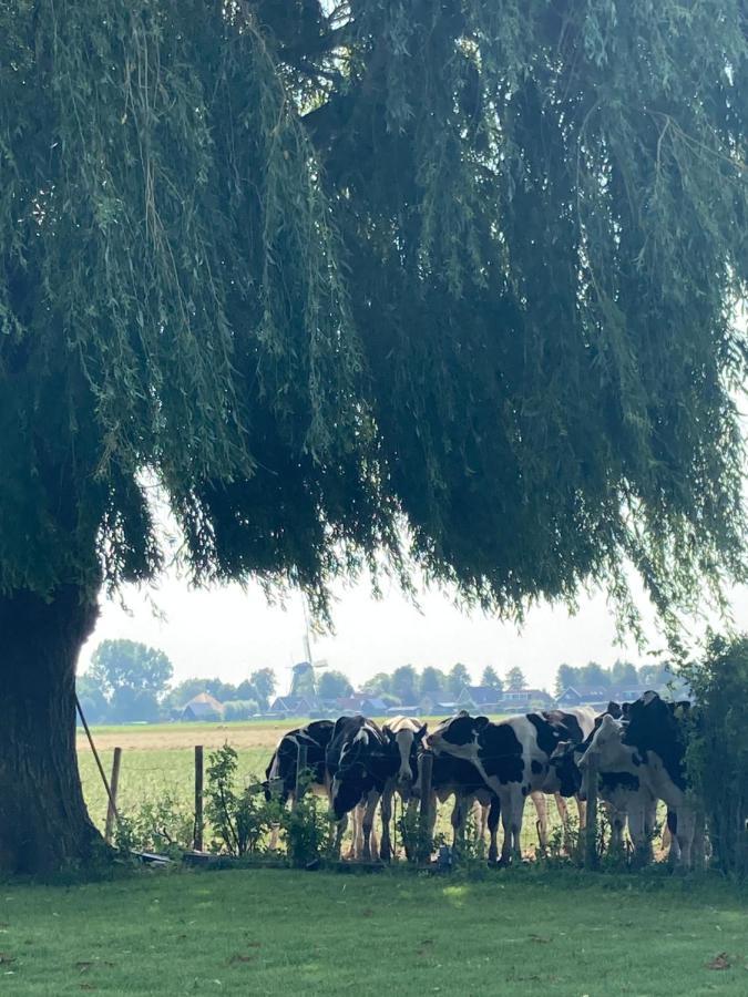 Vakantiehuis Het Uilennest Wijdenes 外观 照片