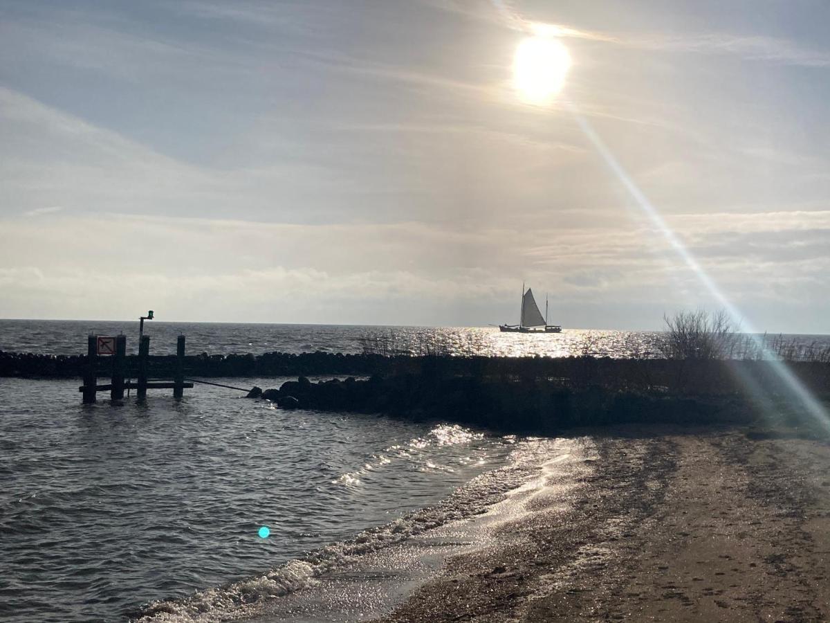 Vakantiehuis Het Uilennest Wijdenes 外观 照片