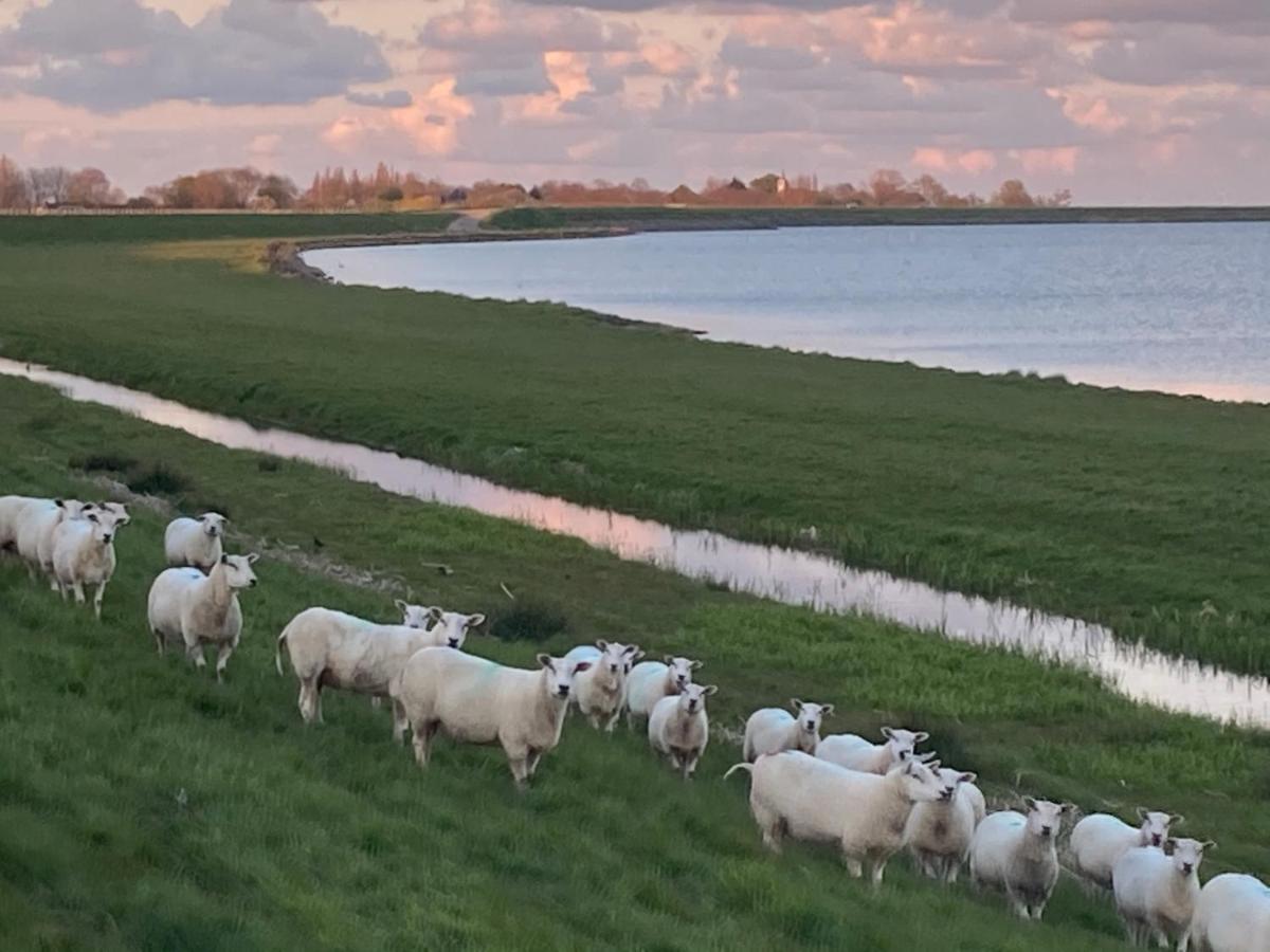 Vakantiehuis Het Uilennest Wijdenes 外观 照片