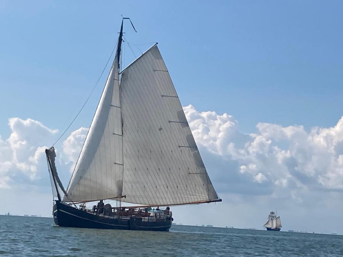 Vakantiehuis Het Uilennest Wijdenes 外观 照片