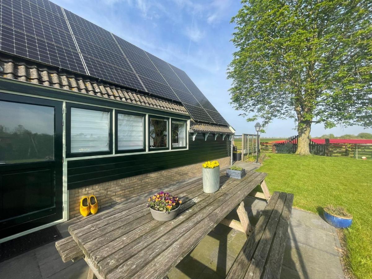 Vakantiehuis Het Uilennest Wijdenes 外观 照片