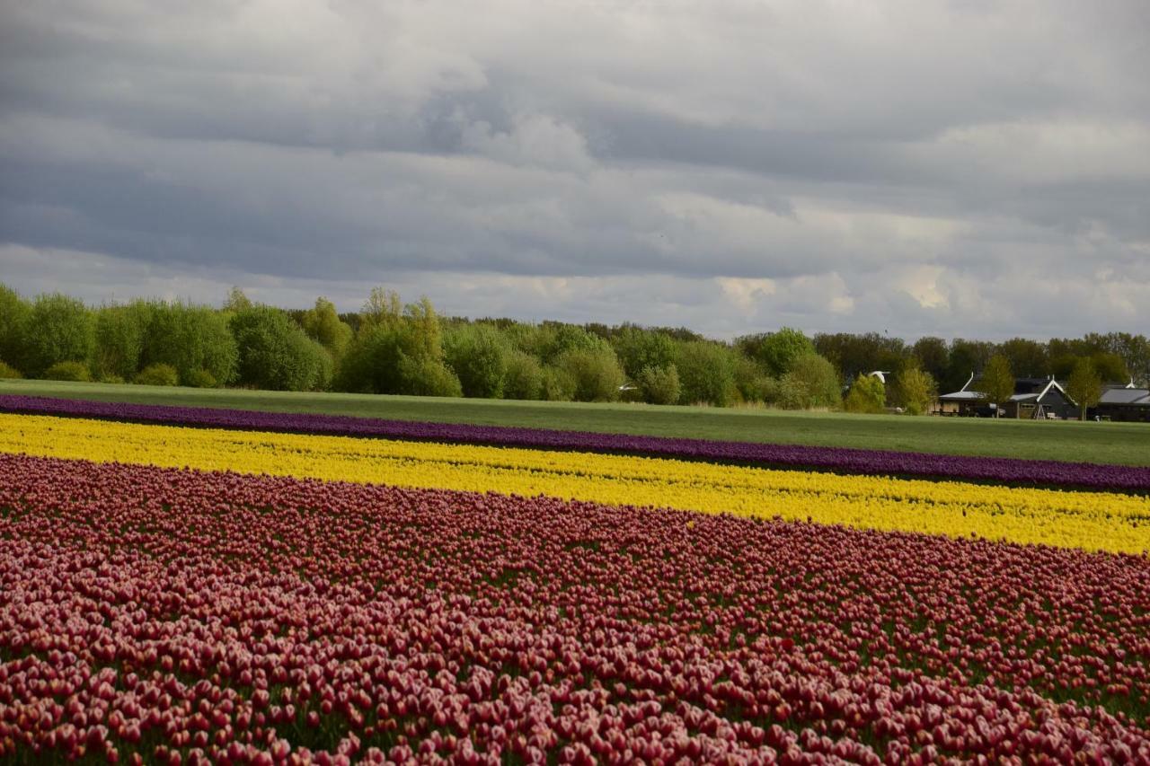 Vakantiehuis Het Uilennest Wijdenes 外观 照片