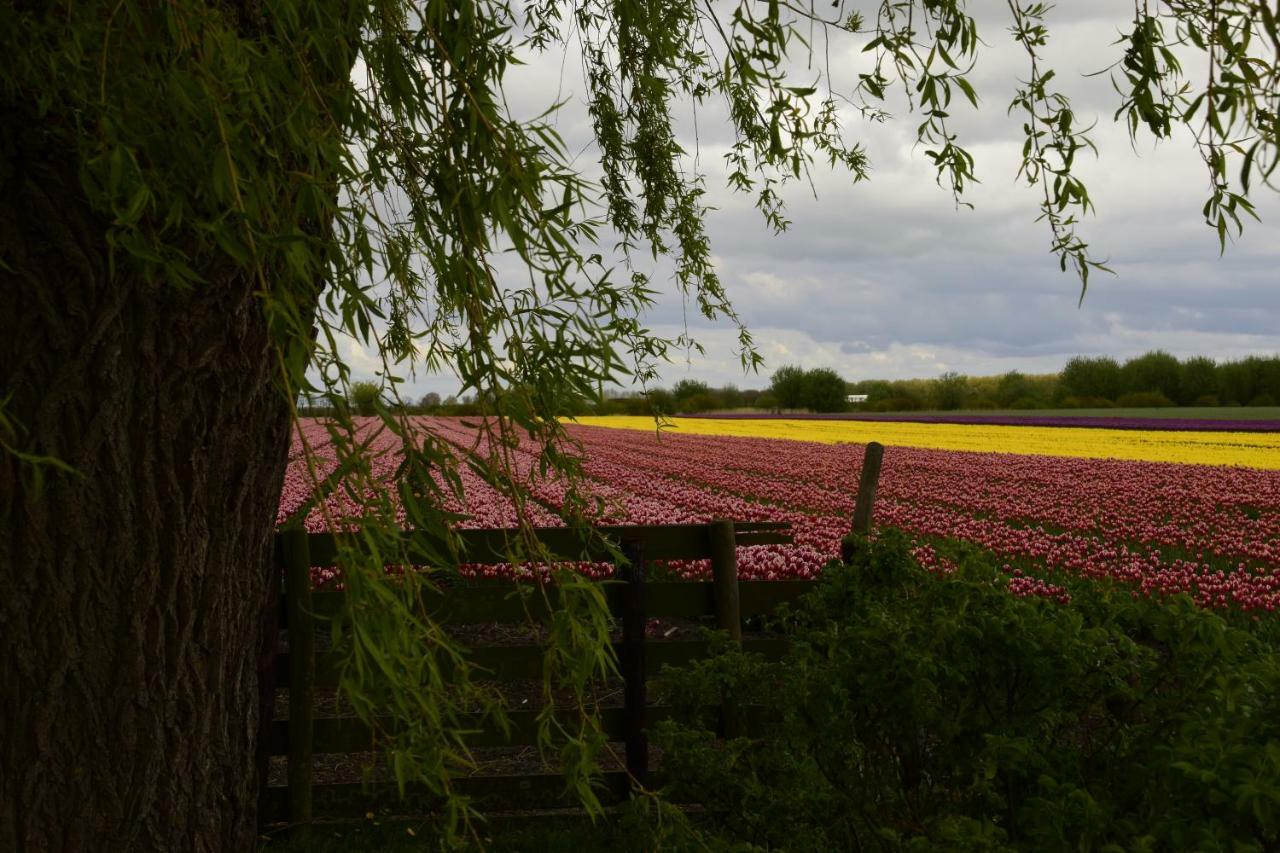 Vakantiehuis Het Uilennest Wijdenes 外观 照片
