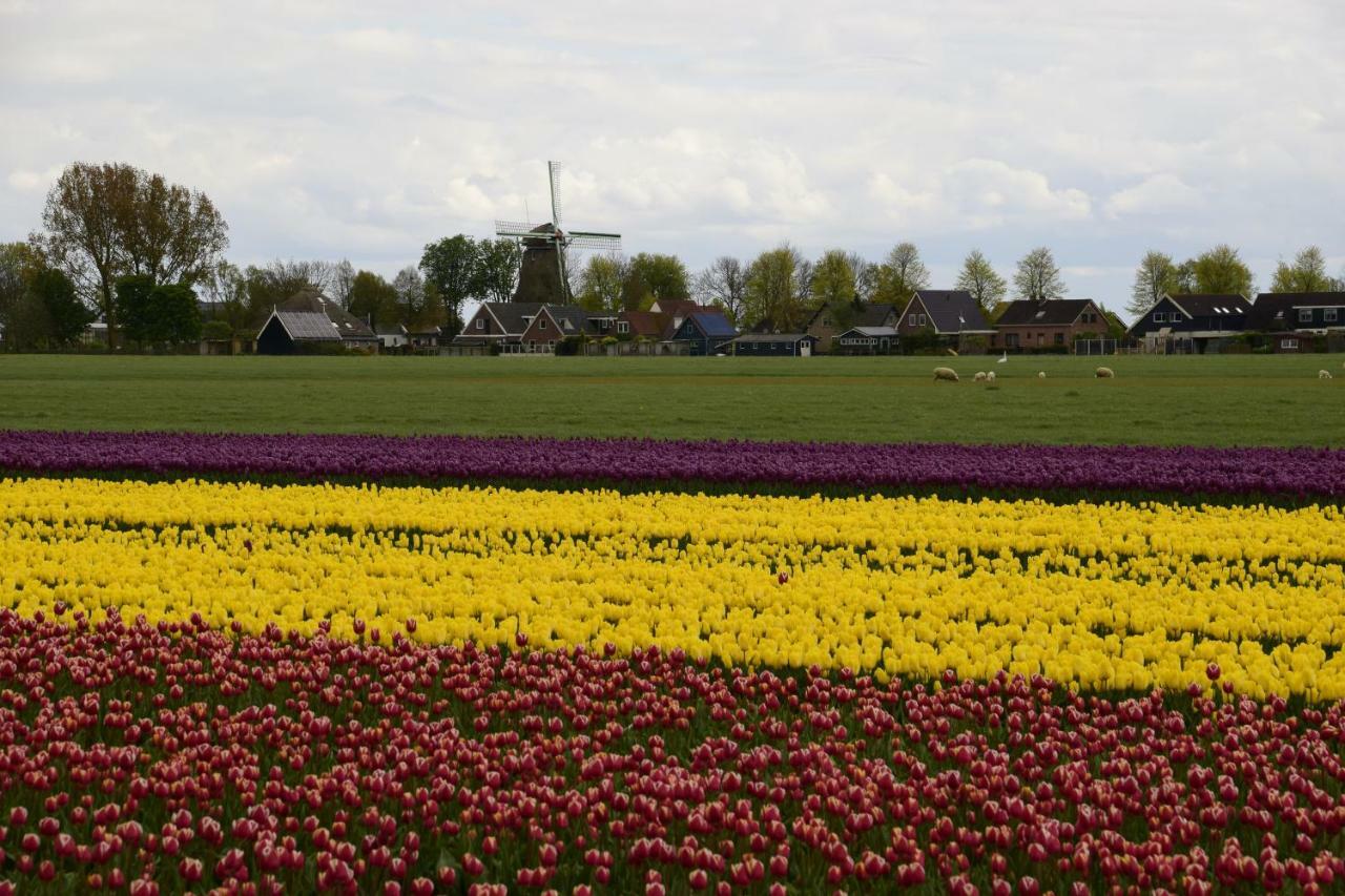 Vakantiehuis Het Uilennest Wijdenes 外观 照片