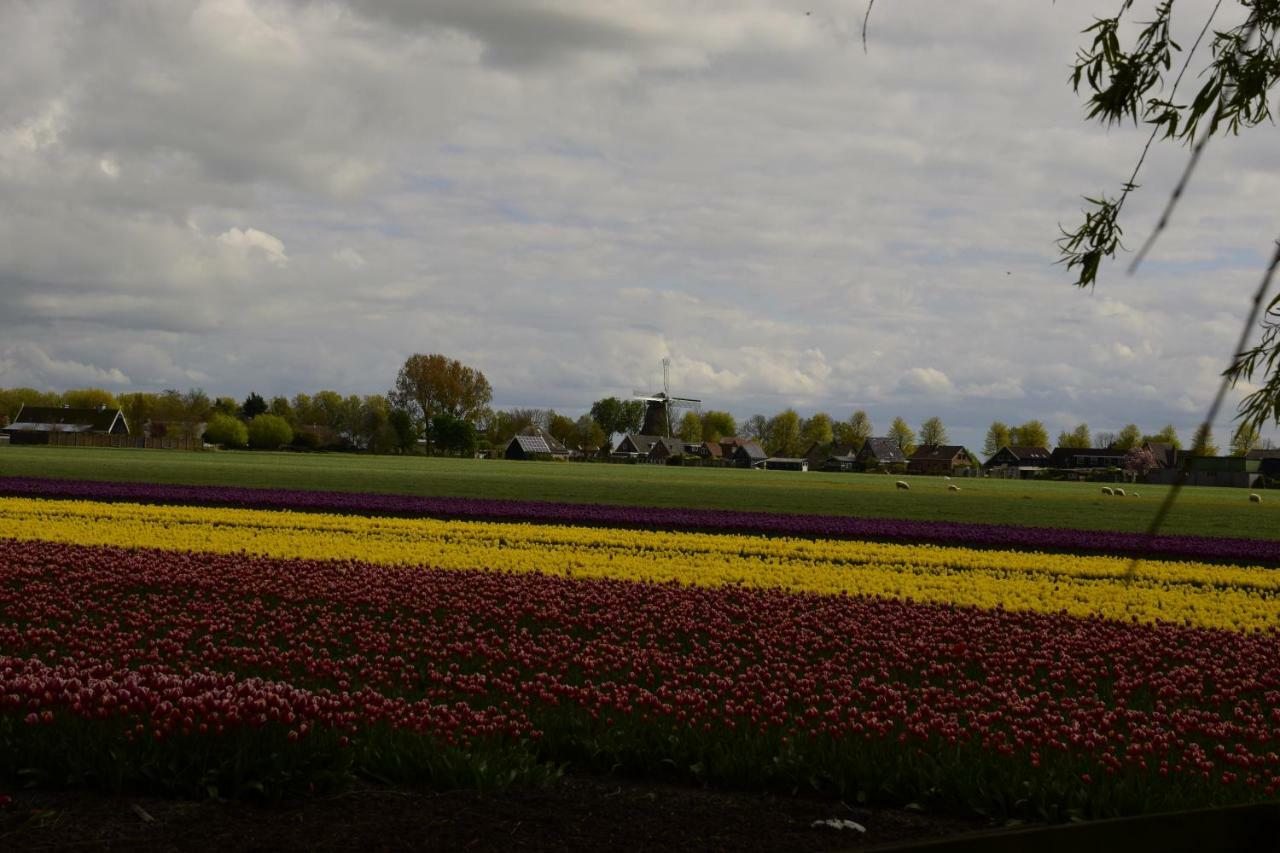Vakantiehuis Het Uilennest Wijdenes 外观 照片
